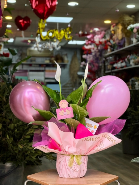 Pembe balonlu Spatifilyum Saksı Bitkisi(Kız Bebek)