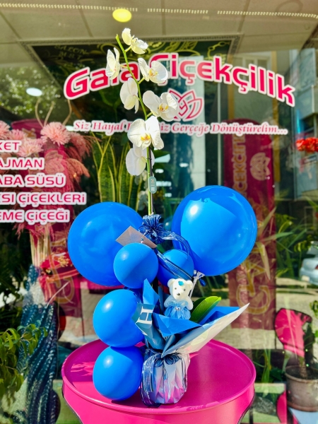 Tek Dal Beyaz Orkide Erkek Bebek