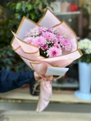Pembe Jeletinde Pembe Kasımpatı