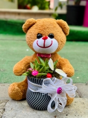Peluş Ayıcık Kaktus Aranjman